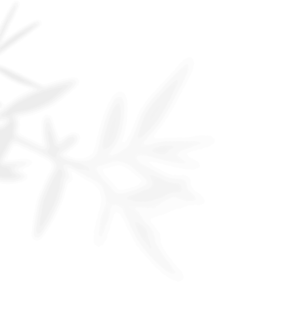 https://oliviadeckerpowerofmusic.com/wp-content/uploads/2020/11/shadow_leaves_01.png