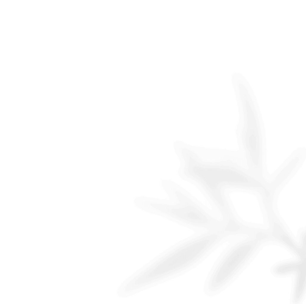 https://oliviadeckerpowerofmusic.com/wp-content/uploads/2020/11/shadow_leaves_02.png