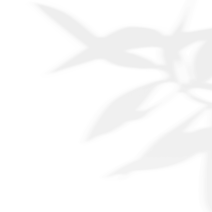https://oliviadeckerpowerofmusic.com/wp-content/uploads/2020/11/shadow_leaves_03.png