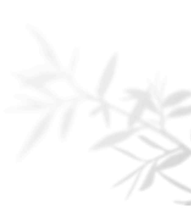 https://oliviadeckerpowerofmusic.com/wp-content/uploads/2020/11/shadow_leaves_04.png