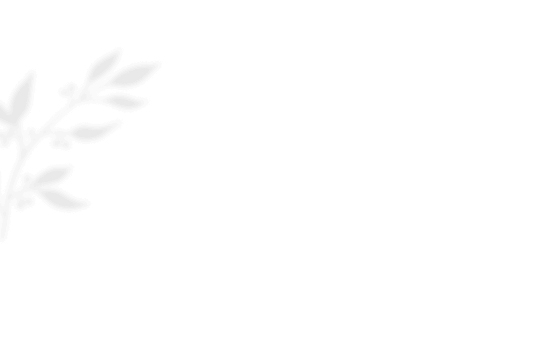 https://oliviadeckerpowerofmusic.com/wp-content/uploads/2020/12/shadow_leaves_01.png