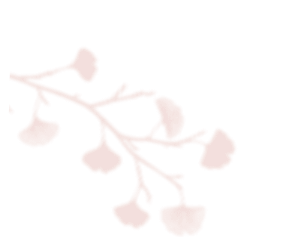 https://oliviadeckerpowerofmusic.com/wp-content/uploads/2020/12/shadow_leaves_06.png