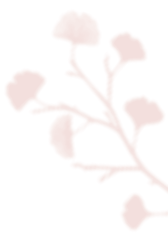 https://oliviadeckerpowerofmusic.com/wp-content/uploads/2020/12/shadow_leaves_07.png